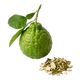 Bergamote