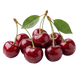 Cerise