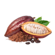 Cacao