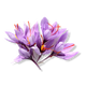 Safran