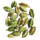 Cardamome